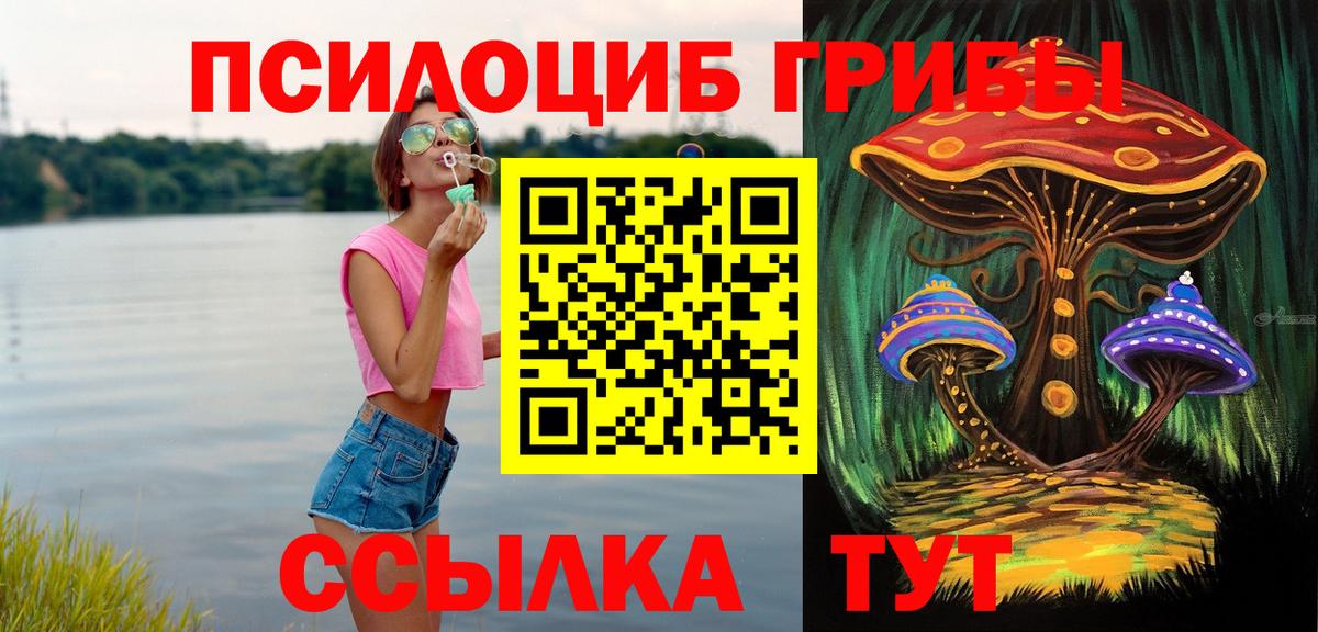 Чайковский  Псилоцибиновые грибы Magic Shrooms  Вход с VPN 