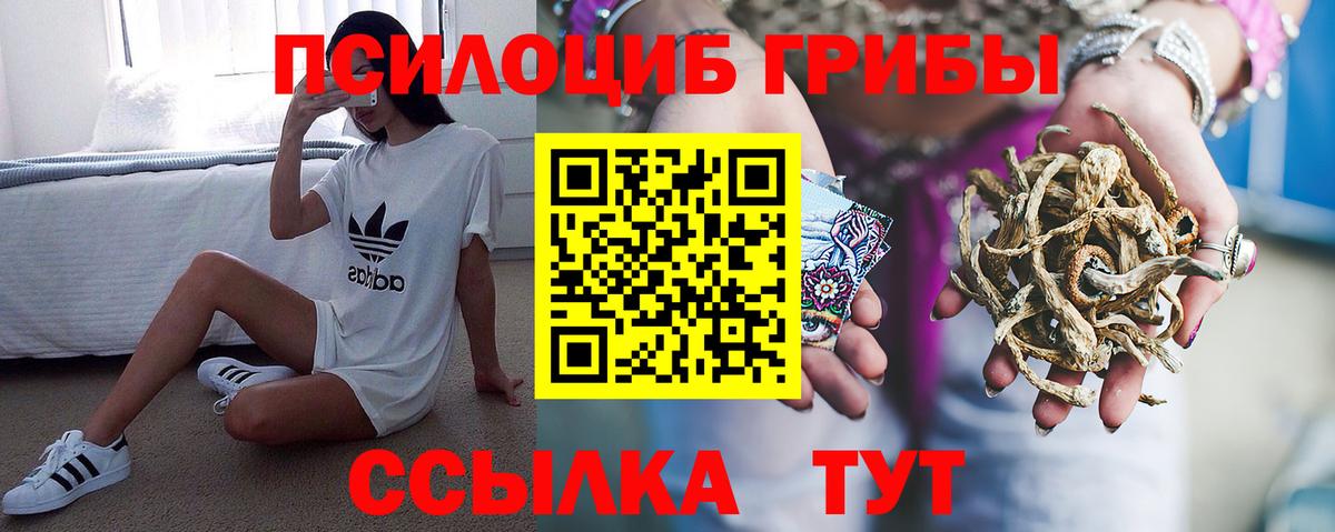 Псилоцибиновые грибы прущие грибы Чайковский