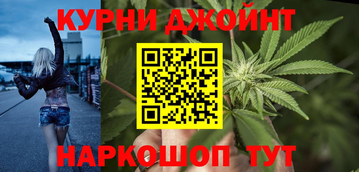 Каннабис гибрид Чайковский